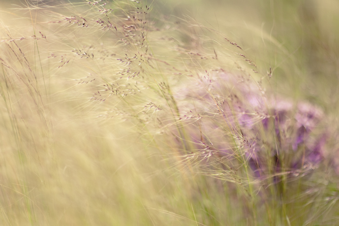 20130716-20130716-IMG_4721