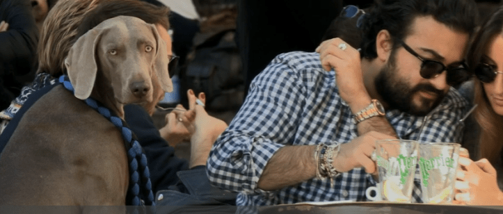 Screen shot 2017-02-16 at 10.00.10.png