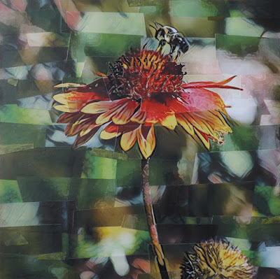 photo collage by Lori Reed