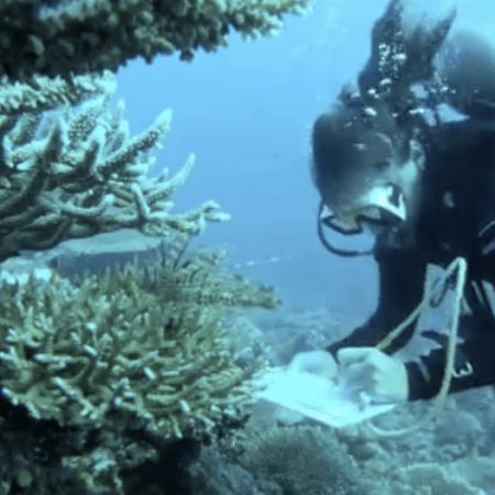 sketching underwater, diving, sea, art