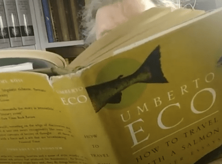 humour, wit, library, books